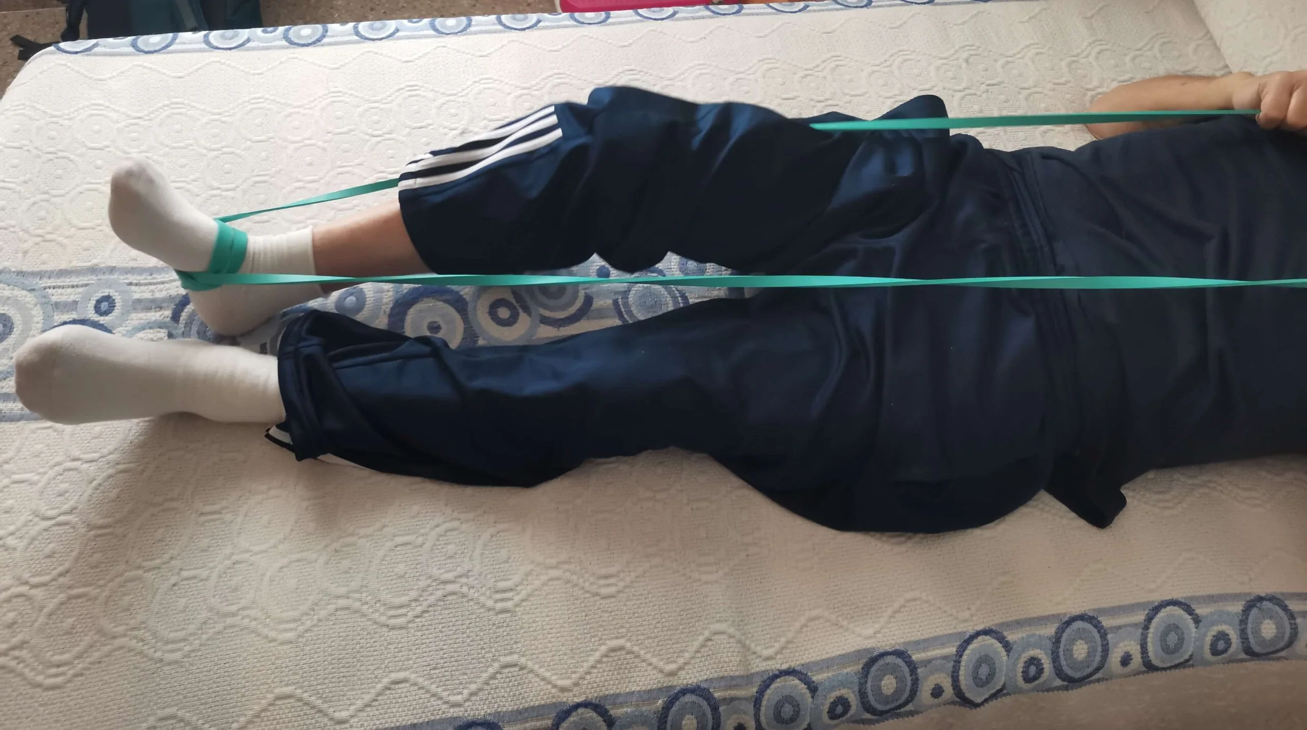 Ejercicios de fisioterapia para personas mayores a domicilio en Sevilla